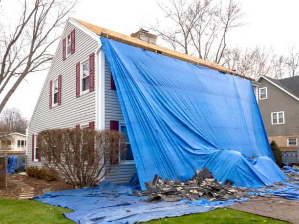 Professional Junk Removal in Kalona, IA